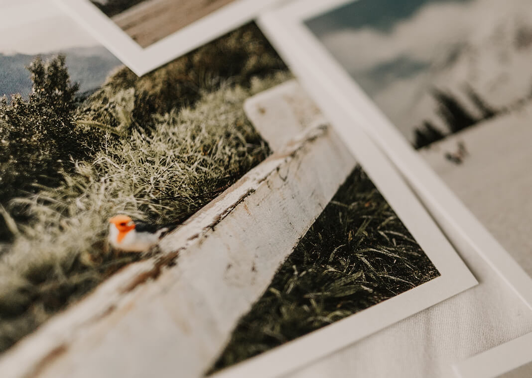 photos evoking memories - photo by sarandy westfall on Unsplash