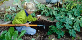 young girl gardening