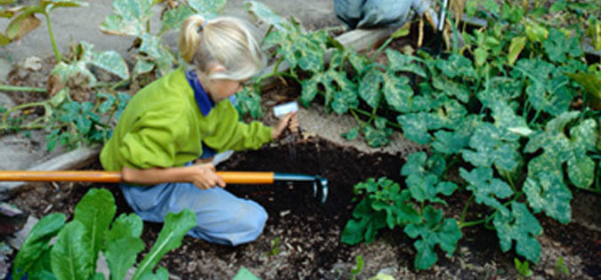 young girl gardening