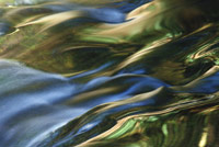 flowing water reflected