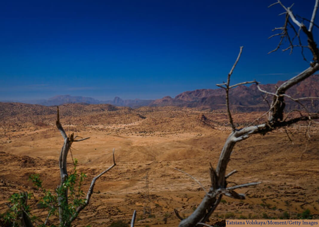 desert landscape with barren tree in foreground and mountains in background - Tatsiana Volskaya/Moment/Getty Images