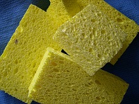 sponges