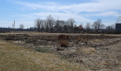 dormant garden in spring