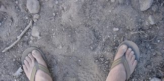 dusty feet