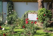 UCA Jesuit memorial rose garden