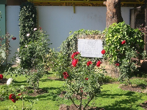 UCA Jesuit memorial rose garden