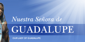 Our Lady of Guadalupe header from Loyola Press