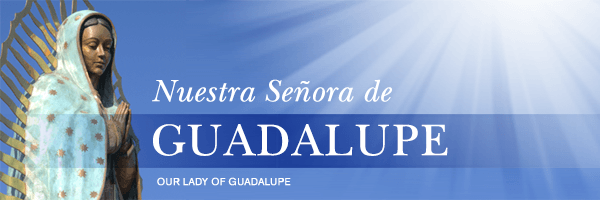 Our Lady of Guadalupe header from Loyola Press