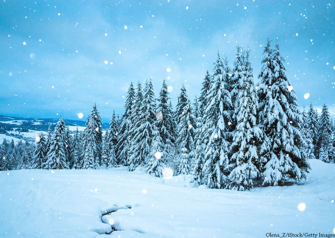 winter landscape with pine trees and snow - Olena_Z/iStock/Getty Images