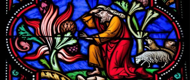 Moses in stained glass