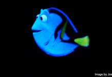 Dory on the Finding Nemo ride - image by Josh Hallett under CC BY 2.0