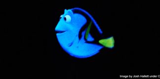 Dory on the Finding Nemo ride - image by Josh Hallett under CC BY 2.0
