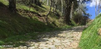 Camino Ignaciano path 4
