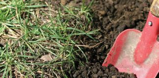 summer garden digging