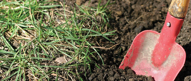 summer garden digging