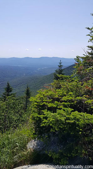 trees and hills