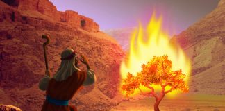 Moses and the burning bush - Masha Arkulis/Shutterstock.com