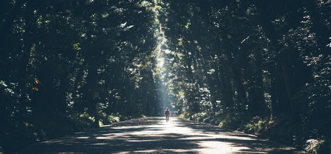 solitary hiker