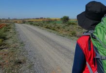 pilgrim on the Camino de Santiago