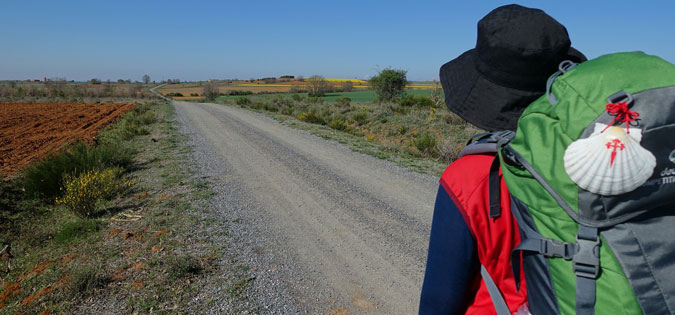 pilgrim on the Camino de Santiago