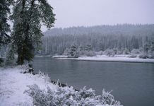 winter scene - gray