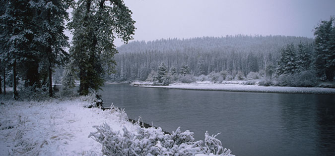 winter scene - gray