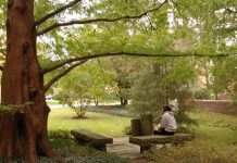 James Davis Garden at John Carroll University [provided by JCU for Picturing God]