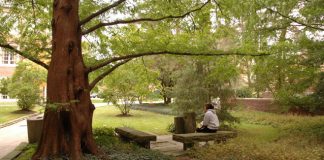 James Davis Garden at John Carroll University [provided by JCU for Picturing God]