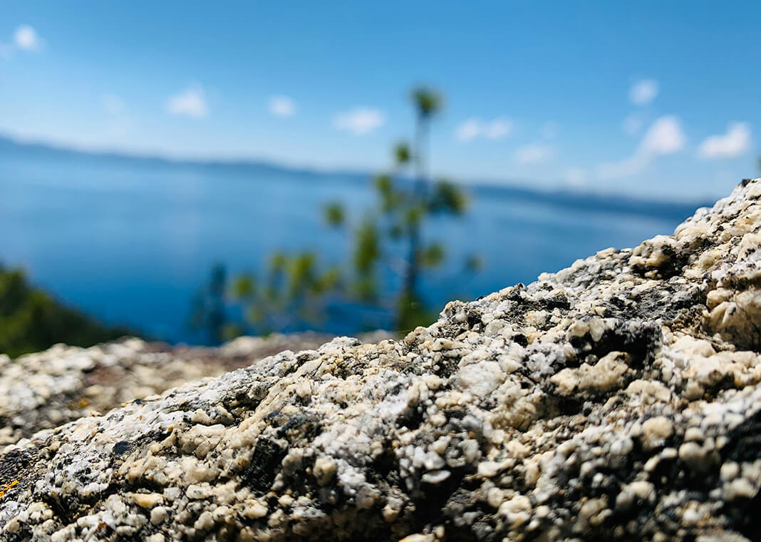 rocky land with plants and water in distance - photo by Damian Paul on Unsplash