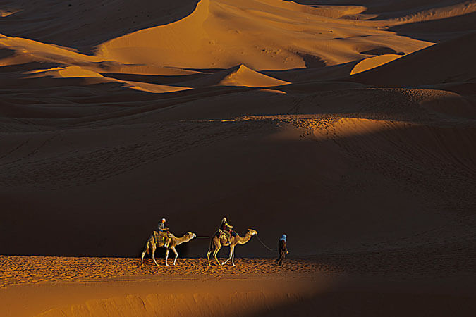 Morocco - camels - photo provided by Vinita Wright