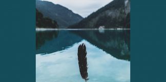 person letting go of feather - photo by Paul Gilmore on Unsplash