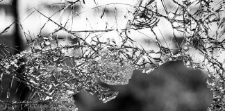 broken glass - photo by Jilbert Ebrahimi on Unsplash