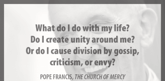 "What do I do with my life? Do I create unity around me? Or do I cause division by gossip, criticism, or envy?" - Pope Francis in "The Church of Mercy"