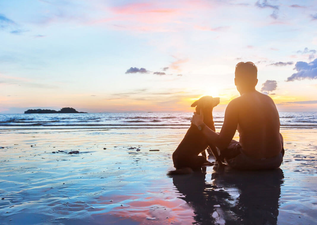 man and dog on beach in reflective scene