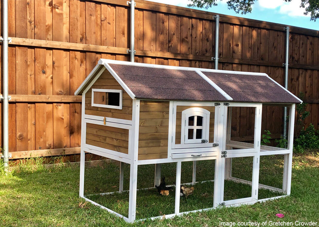 chicken coop - image courtesy of Gretchen Crowder