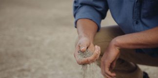 sand running through fingers - photo by Forrest Cavale on Unsplash