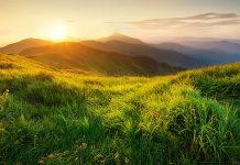 mountains in the sun with grassy field in forefront