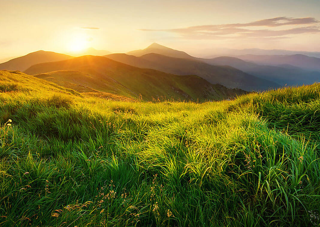 mountains in the sun with grassy field in forefront