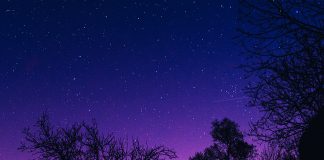 starry sky - photo by Atanas Dzhingarov on Unsplash