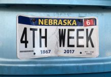 4th week license plate - image courtesy of Lisa Kelly