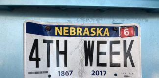 4th week license plate - image courtesy of Lisa Kelly