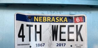 4th week license plate - image courtesy of Lisa Kelly