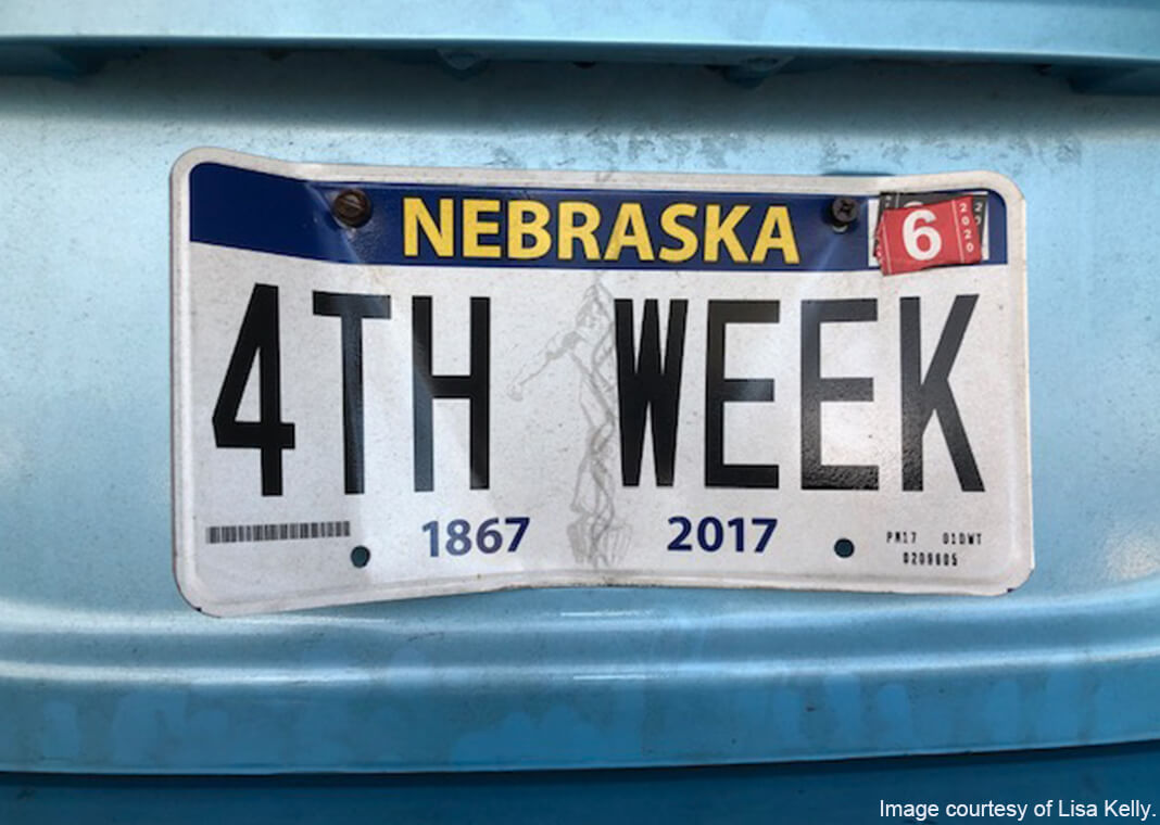 4th week license plate - image courtesy of Lisa Kelly