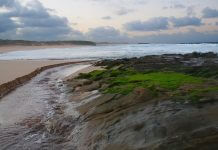 Australian beach - image courtesy of www.fionabasile.com