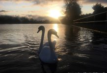 Victorian Waterworks Park - image courtesy of Brendan McManus, SJ