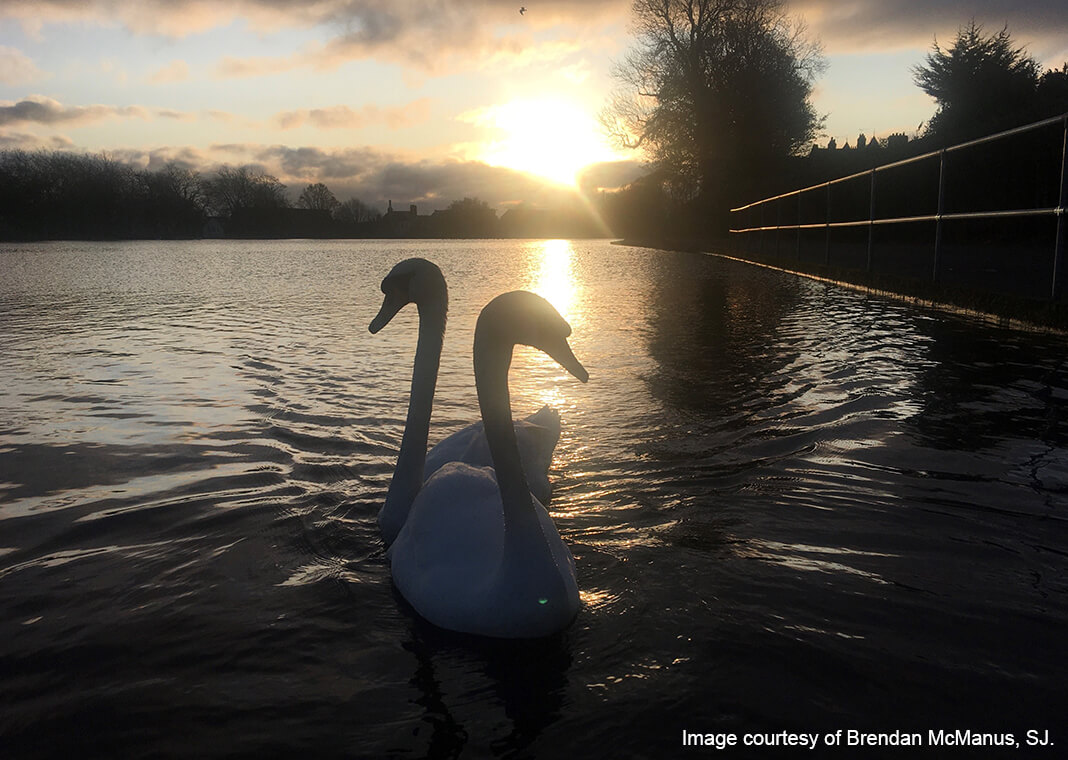 Victorian Waterworks Park - image courtesy of Brendan McManus, SJ