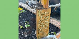 garden sign - image courtesy of Shemaiah Gonzalez