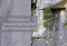 tree growing on side of rock wall - text: Five Practices of Ignatian Spirituality That Foster Resilience
