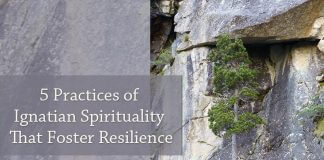 tree growing on side of rock wall - text: Five Practices of Ignatian Spirituality That Foster Resilience