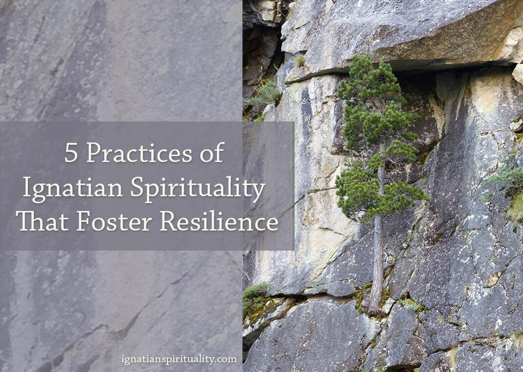 tree growing on side of rock wall - text: Five Practices of Ignatian Spirituality That Foster Resilience